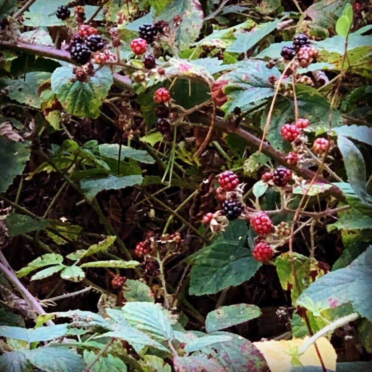 Instagram post from foodtours.eu. This post is in position 20.